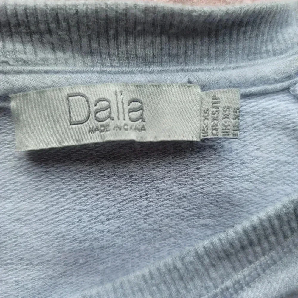 Dalia Womens Shirt Gray Long Sleeve Pullover Soft Comfort Sweatshirt Dress XS